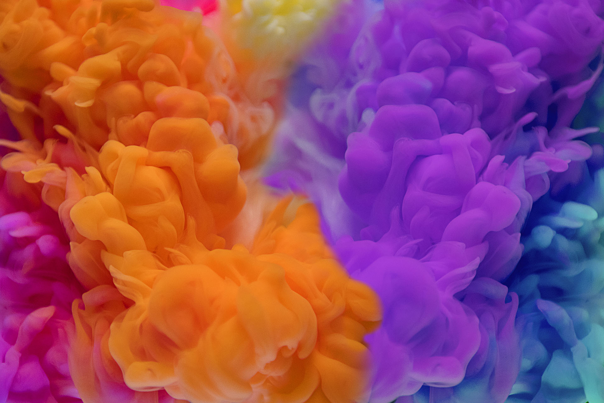 Congreso Nacional del Color